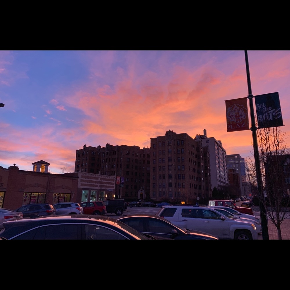 Meet your Posher, Sunny